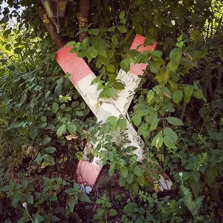 Historic By The Swimming Pond *