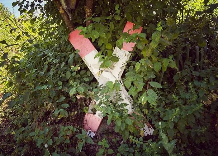 Historic By The Swimming Pond *